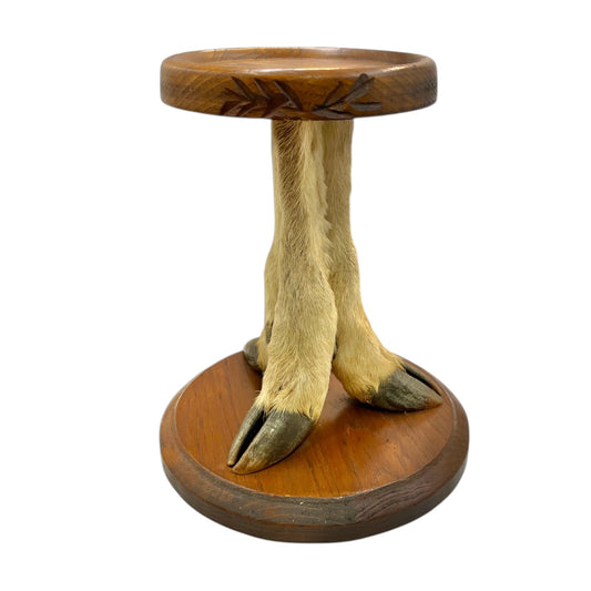 Taxidermy Deer Leg Plant Stand or Mini Side Table, French Vintage Specimen for sale 