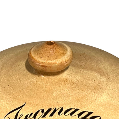 Close-up of a cheese dome on a white background