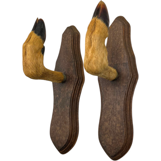 pair of French vintage deer hooves made into coat hooks with wooden mounts set on a white background