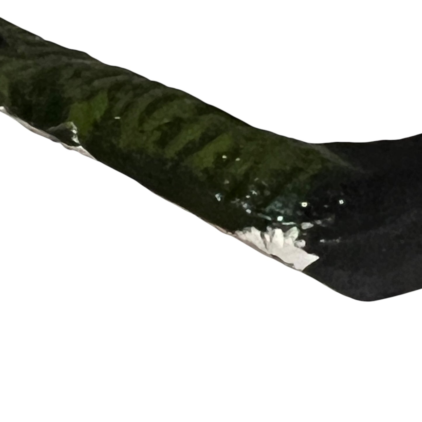 Green hose with a white label on a white background