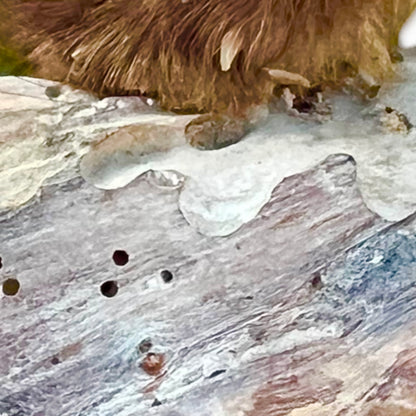 Close-up of a taxidermy small animal with a white background