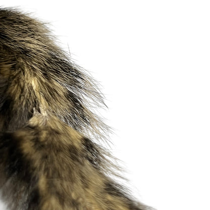 taxidermy chipmunk image of tail end