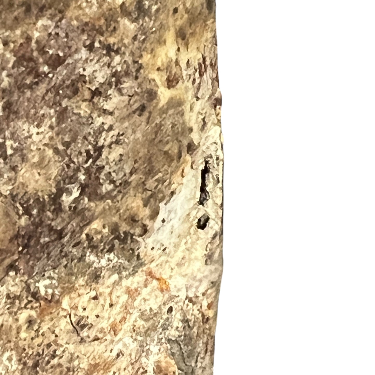 close up of a rusty water bottle on a white background 