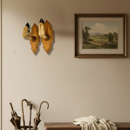 French vintage deer hoof coat hooks on a wall in a traditional hall