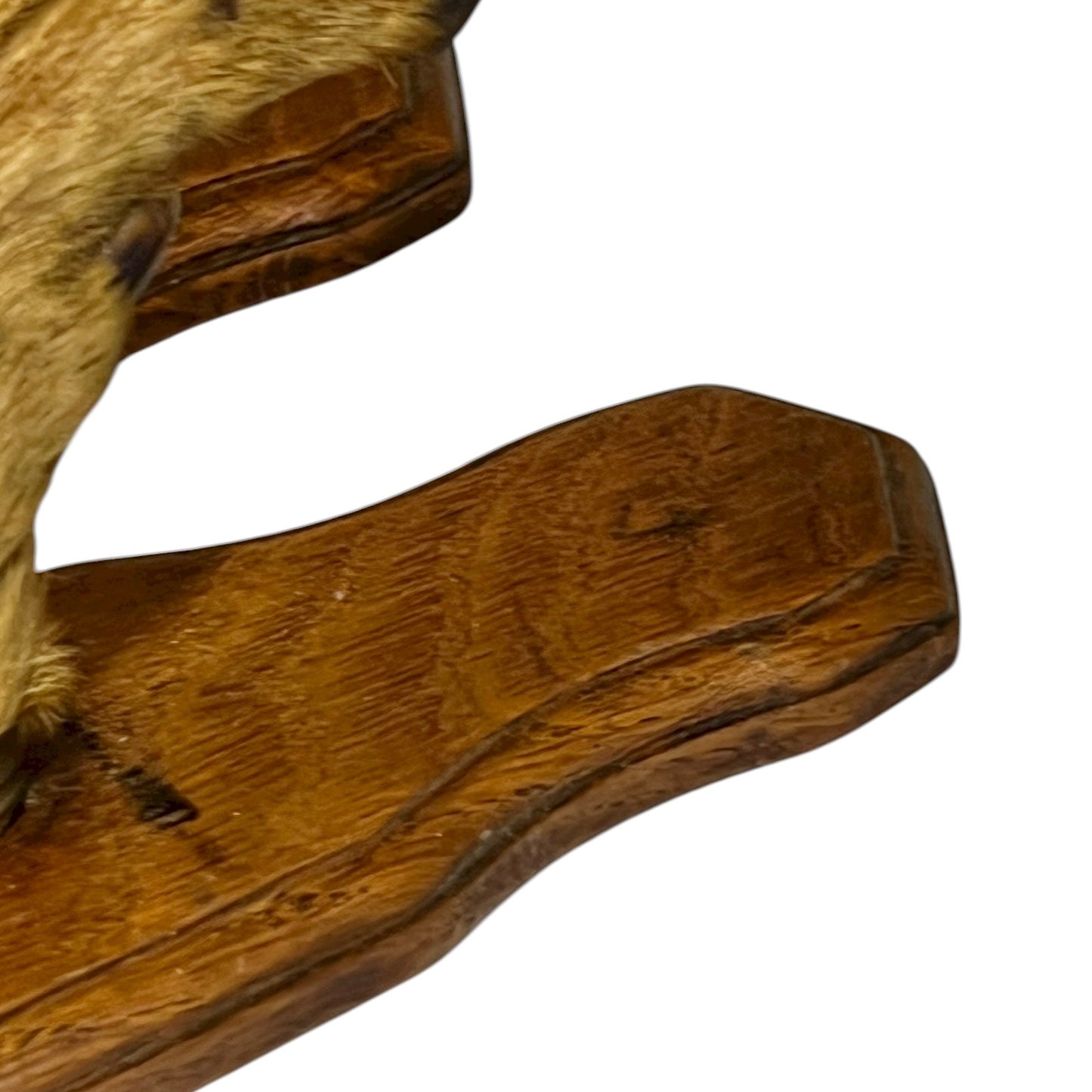 close up of deer hooves on a white background