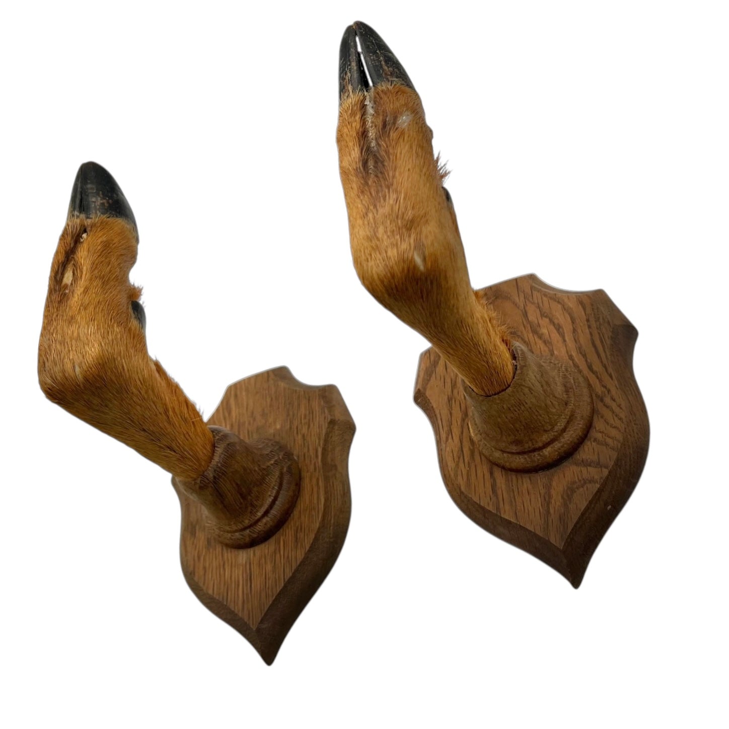 Two wooden wall-mounted deer hooves decorations on a plain wall.