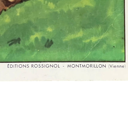 Close up of a French vintage school poster on a white background 