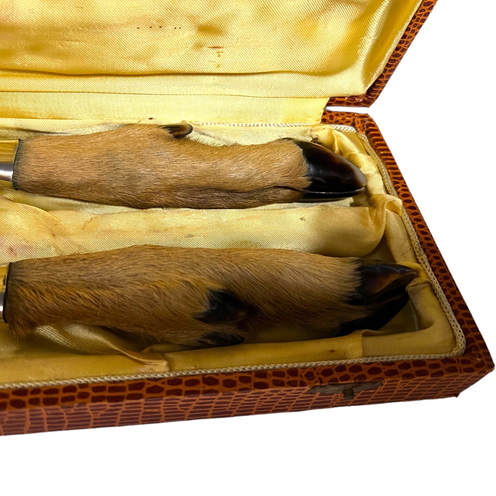 Vintage French Taxidermy Deer Hoof Handle Cutlery Set in original Box