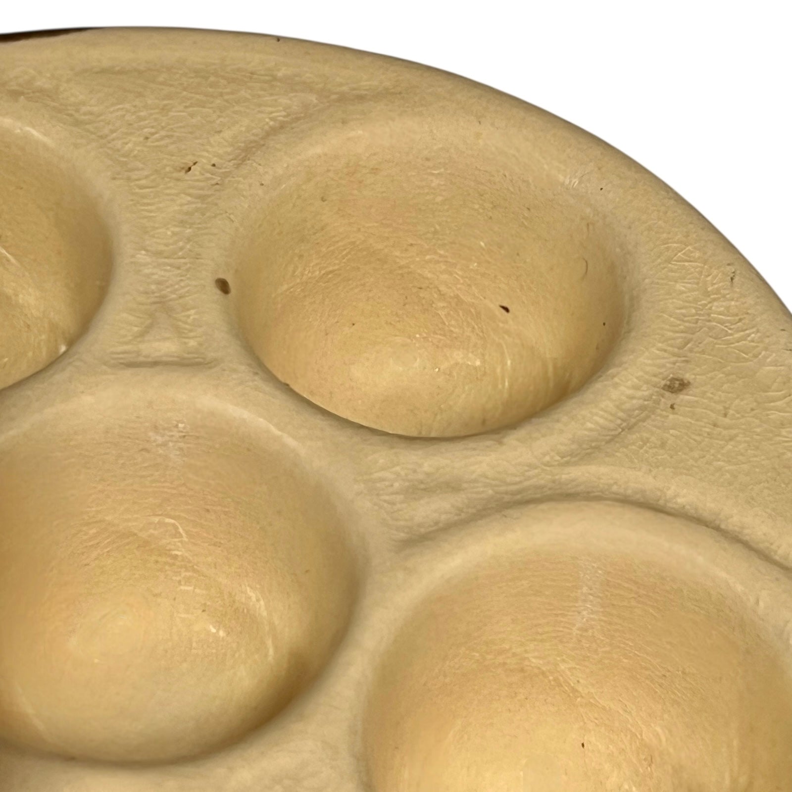 Close up of snail plates with handles on a white background