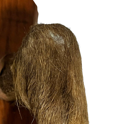 Vintage French Deer Hoof Taxidermy Coat Hooks | Rustic Hunting Wall Hooks