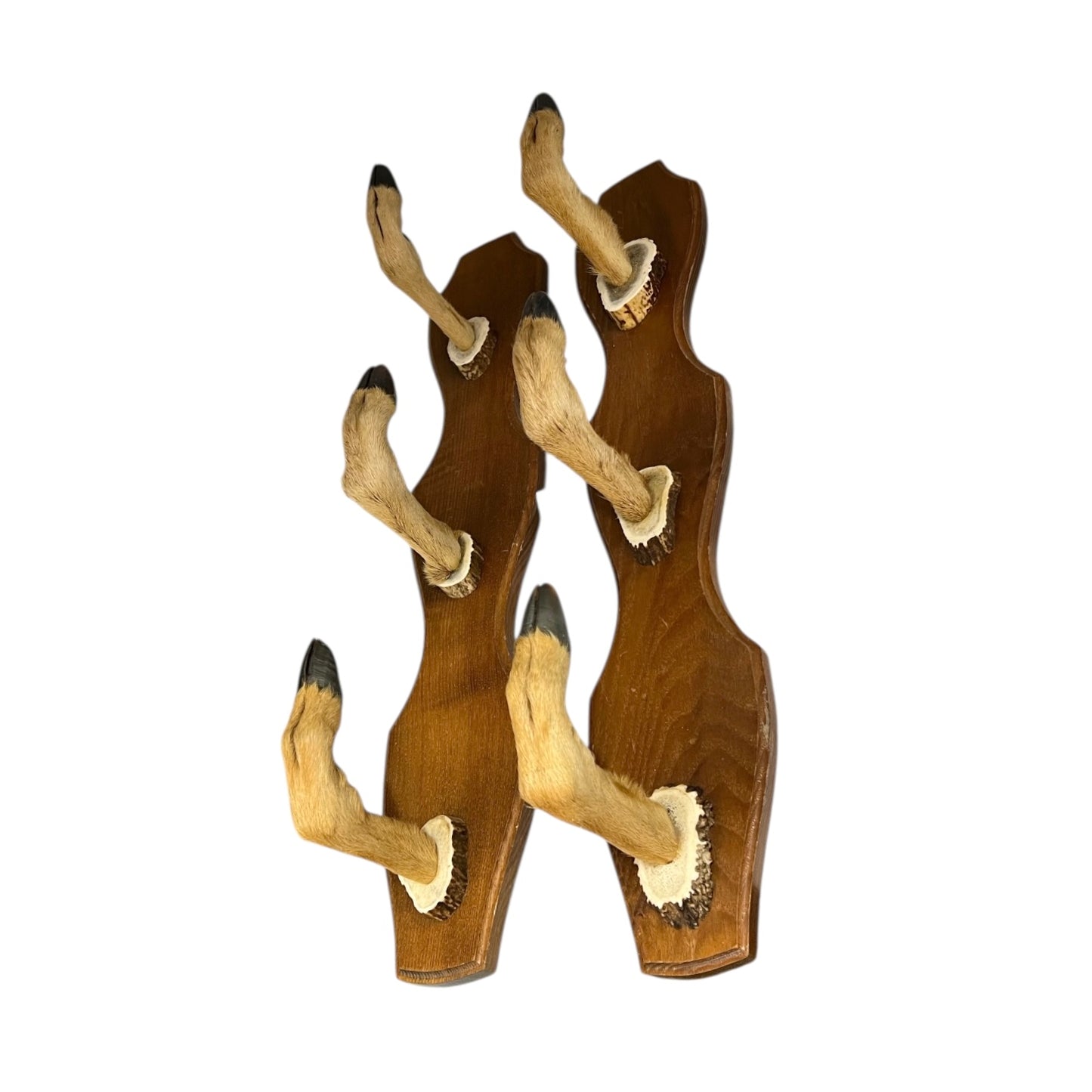 Two wooden wall hooks with deer hoof designs on a white background