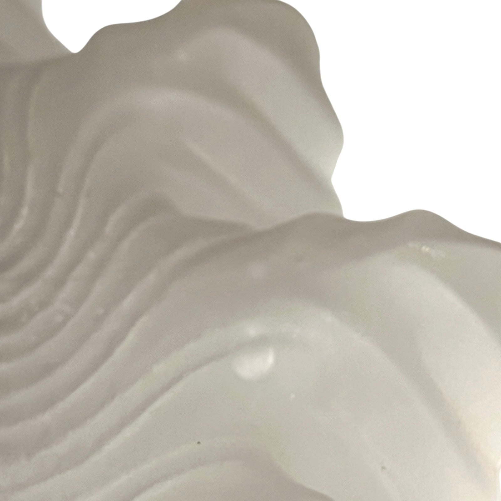 Close up of a glass lampshade and brass fittings on a white background