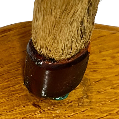 Close up taxidermy hoof 