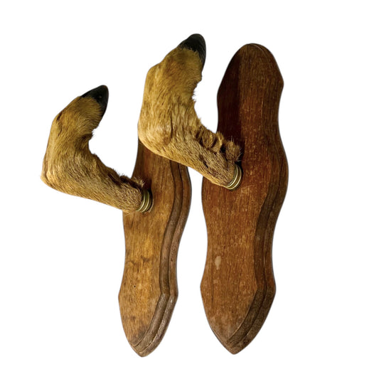 Pair of French vintage taxidermy deer hooves on wooden mounts set on a white background