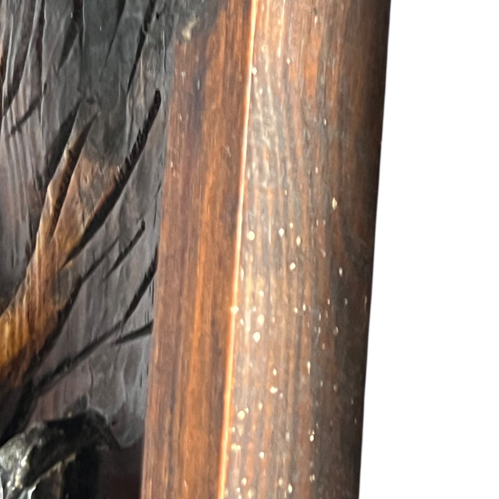 frame image of hunting picture