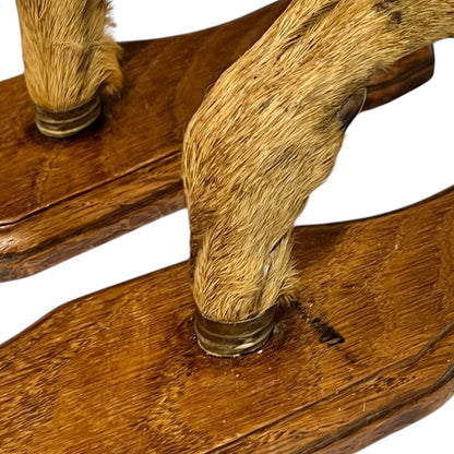 close up of deer hooves on a white background
