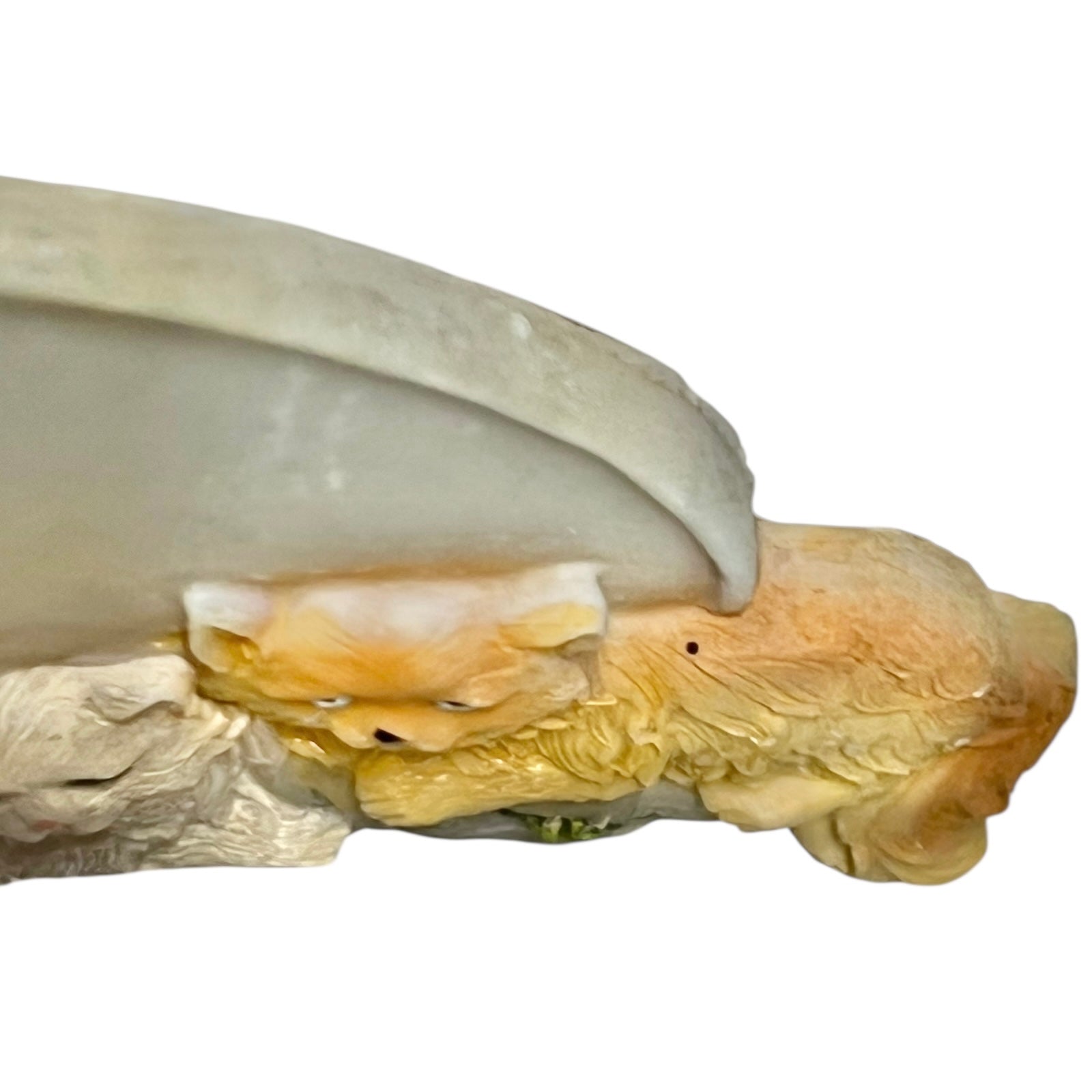 close up of shabby chic Cuisine kitchen door sign with a cat decoration on a white background 