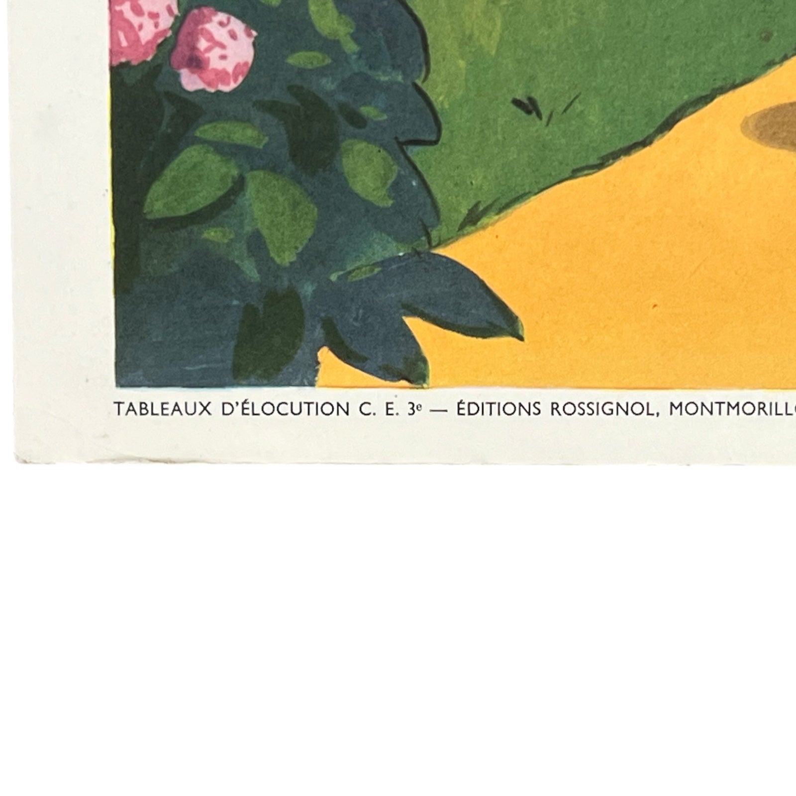 close up of double sided school poster