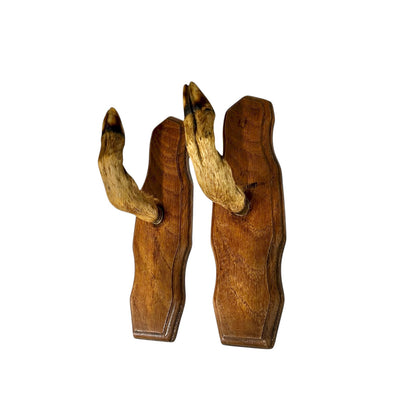 set of 2 deer hooves on wooden mounts on a white background