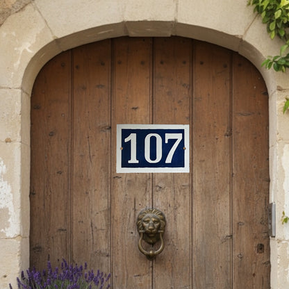 Wooden door with a lion knocker and house number '107' sign.
