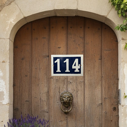 Wooden door with a lion knocker and number 114 sign, stone wall background