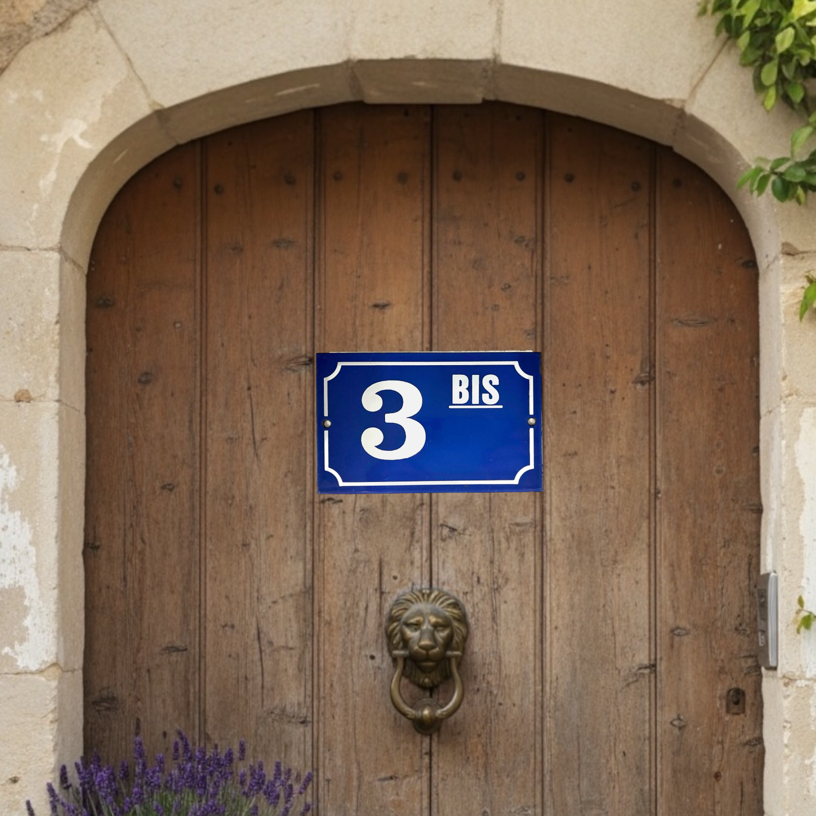 Blue house number sign '3 BIS' on a wooden door with a lion knocker.