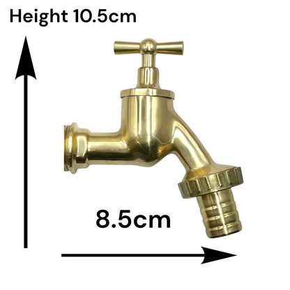 Brass tap head with measurements on a white background