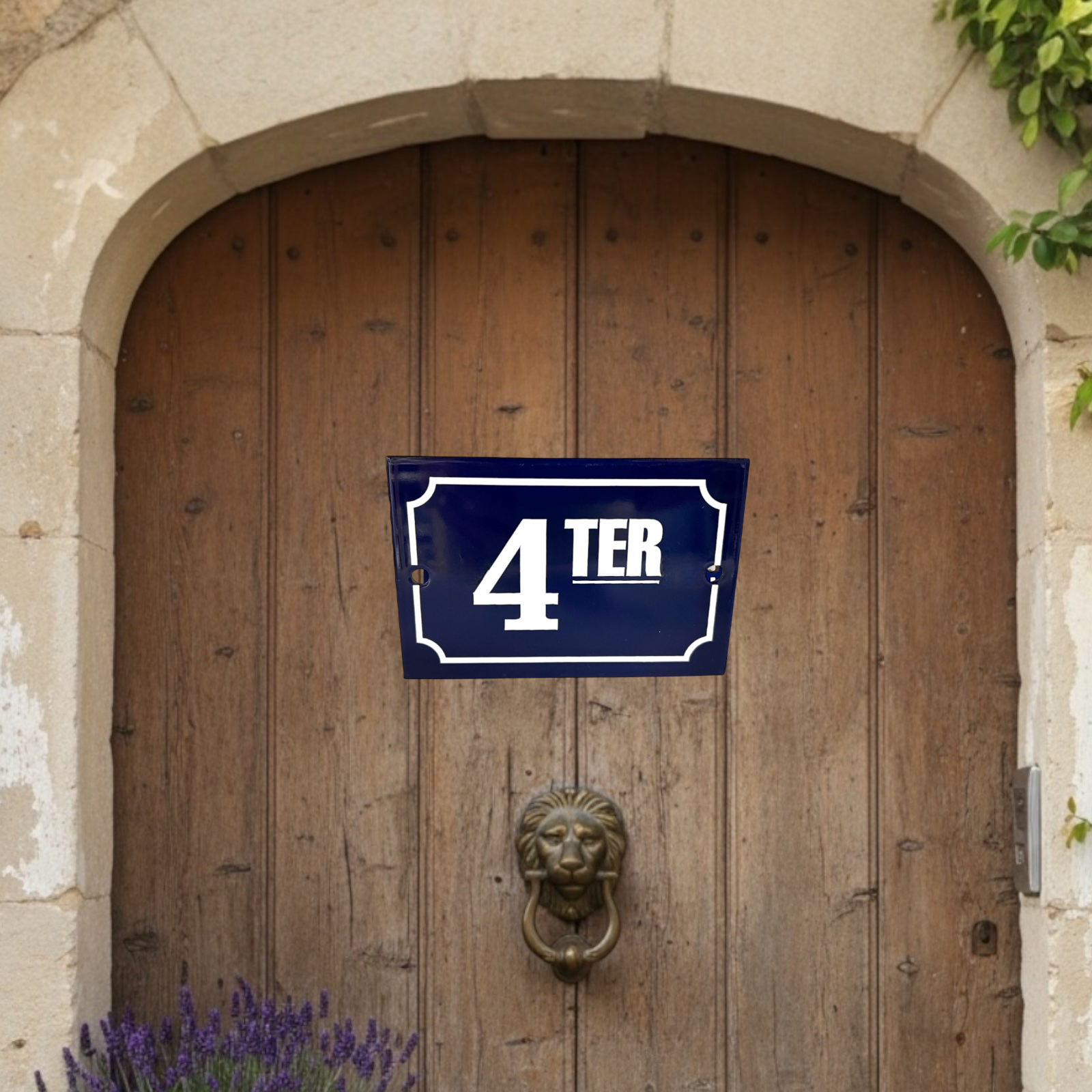 House number '4 TER' sign on a wooden door with a lion knocker.
