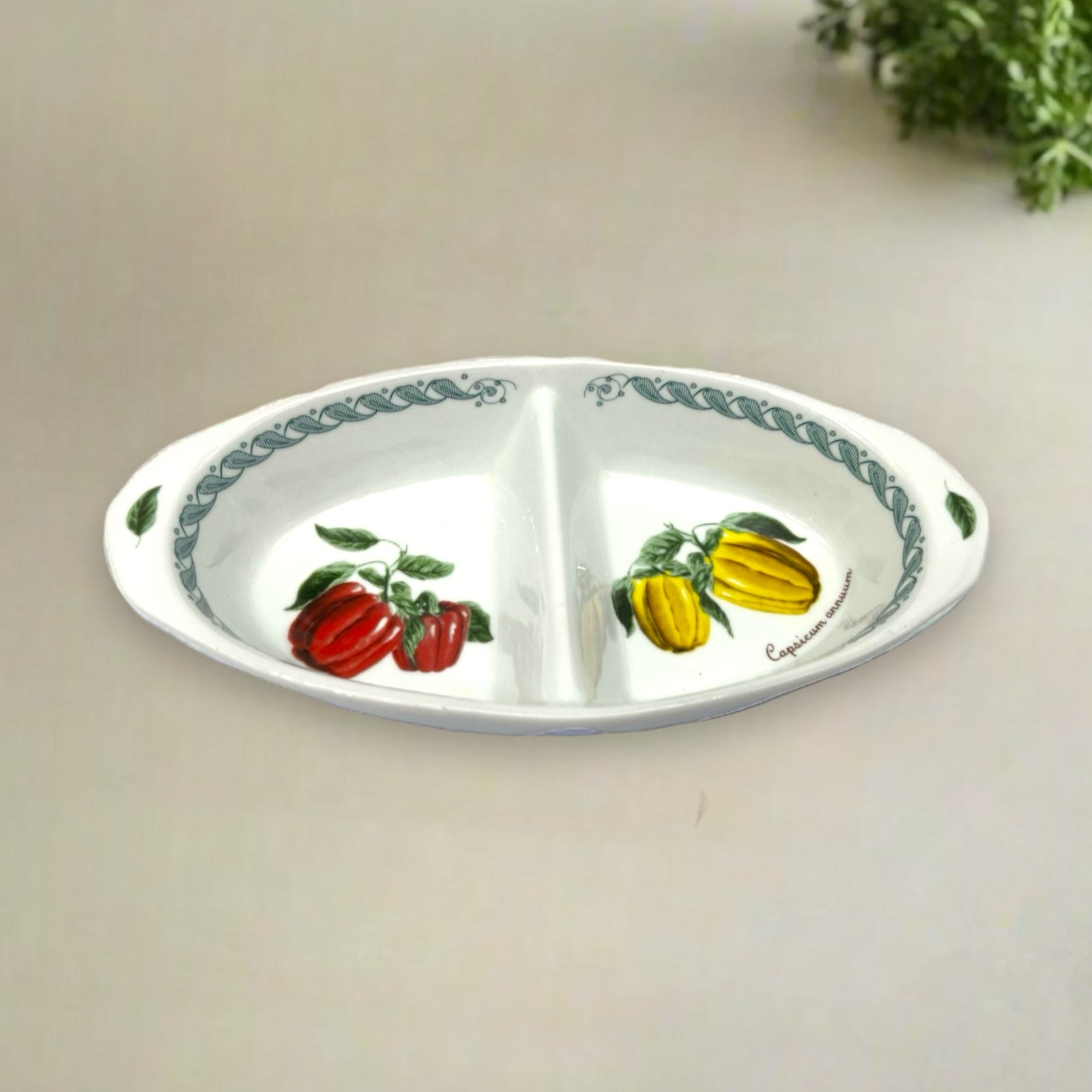 Italian tapas appetiser dish 2 section with vegetable decoration for sale from All Things French Store