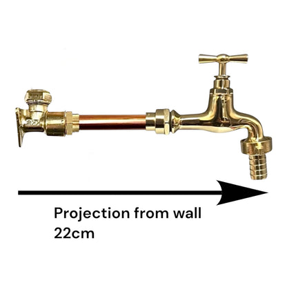 A brass wall-mounted faucet extension with a cross handle and hose connection, shown on a white background with a black arrow and text reading 'Projection from wall 22cm'.