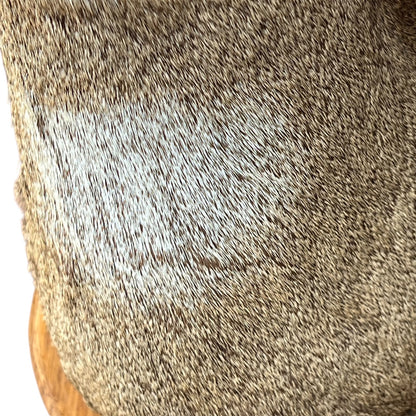 Close-up of a textured animal-hide or faux fur material in a mottled brown and beige pattern, with a small portion of a wooden surface visible at the bottom left.