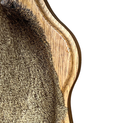 close up of taxidermy head
