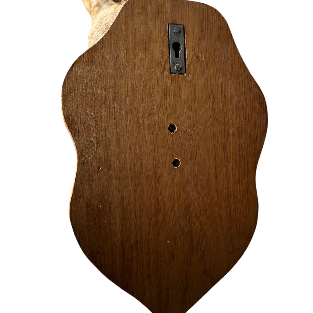 Close-up of the back of a medium brown wooden object, likely a vintage guitar body, featuring a keyhole cutout, two screw holes, and a natural wood neck end visible at the top against a white background.