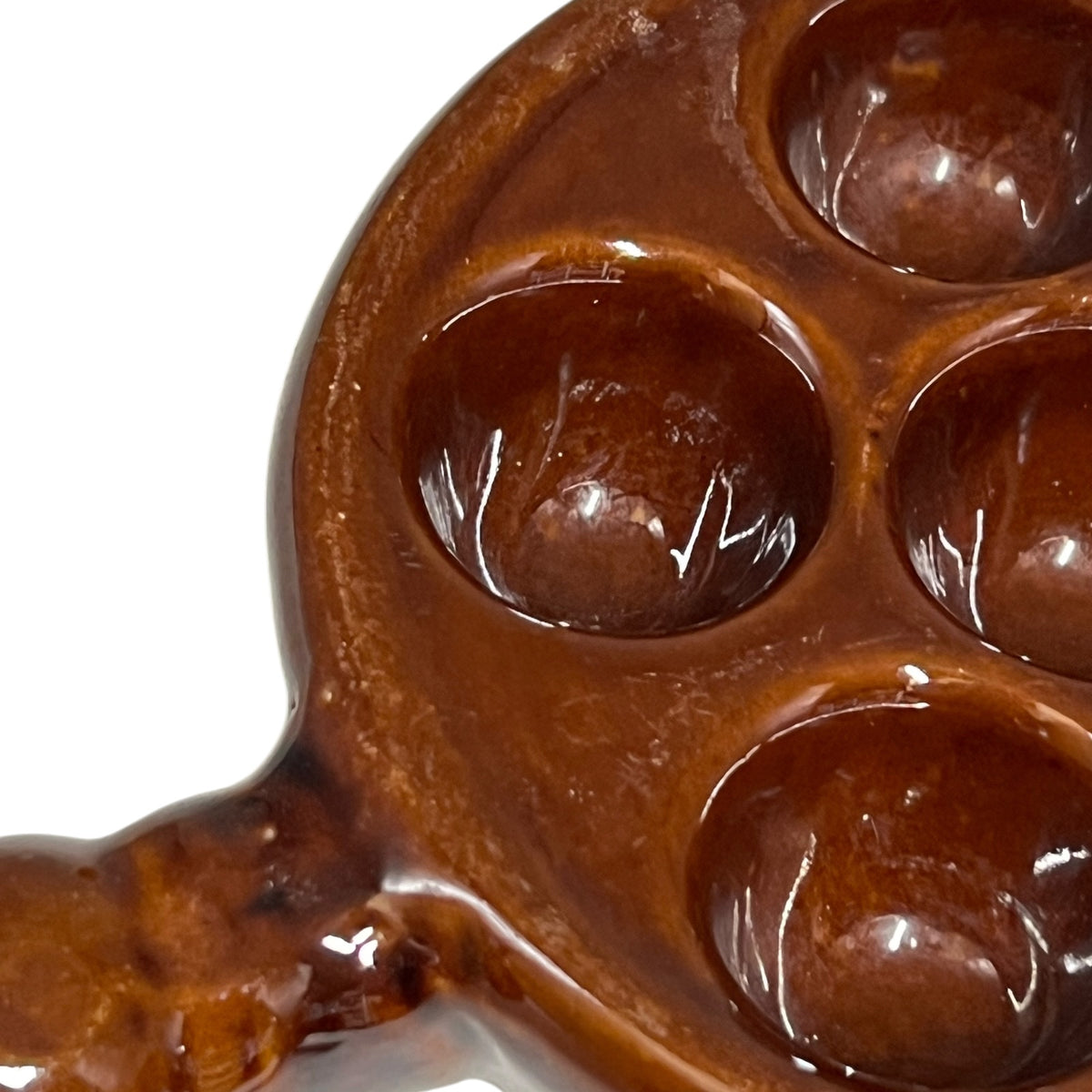 Close up of a snail plate