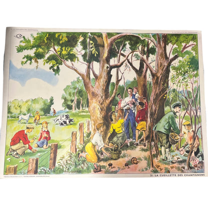 Vintage French educational school poster, double sided for sale by All Things French Store