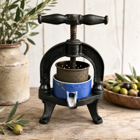 Vintage-style olive press on a wooden surface with olives and a plant in the background.