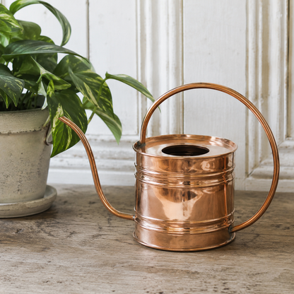 A polished copper watering can with a long spout and arched handle, placed on a rustic wooden surface next to a potted green plant against a white paneled wall.