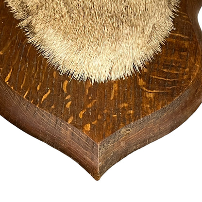 Close-up of a wooden corner with a textured finish