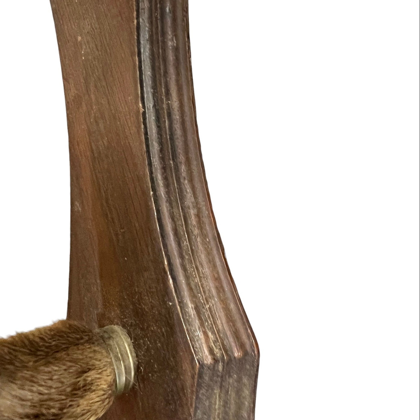 Wooden deer hoof with brass collar on a white background