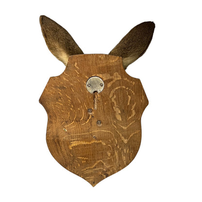 Wooden deer head mount on a white background