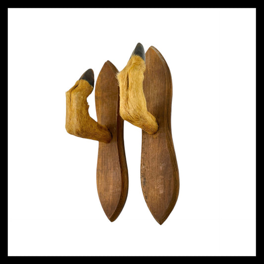 image French vintage taxidermy deer hoof coat hooks sold  All Things French Store