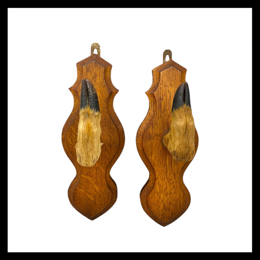 image French taxidermy deer hoof hooks sold by All Things French Store
