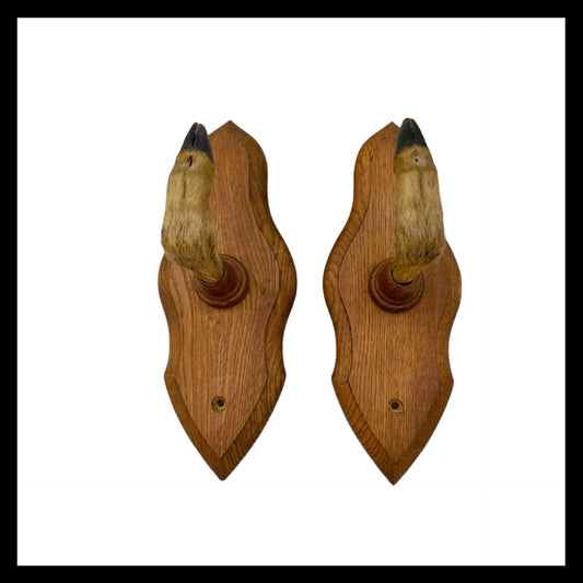 image French taxidermy deer hooves great as coat hooks sold by All Things French Store