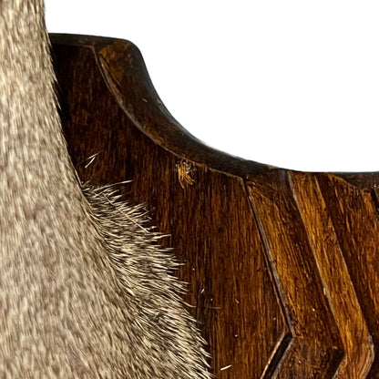 Close-up of a wooden object with fur texture on a white background