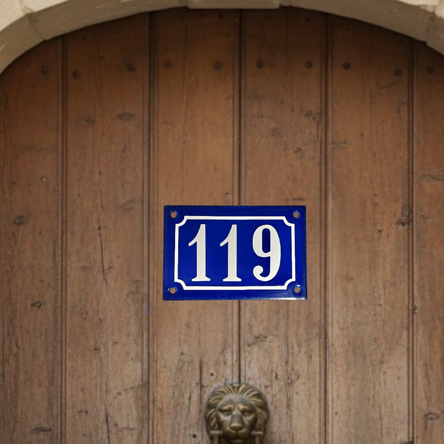 Wooden door with a French blue and white vintage enamel house number sign '119' and a lion knocker.