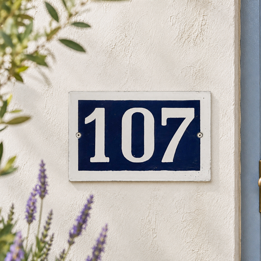 House number '107' on a blue and white sign against a beige wall with plants in the background.