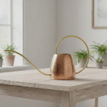 Vintage French Copper Watering Can with Brass Spout & Handle – 0.5L Houseplant Can