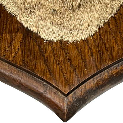 Close-up of a wooden surface with a textured brown finish