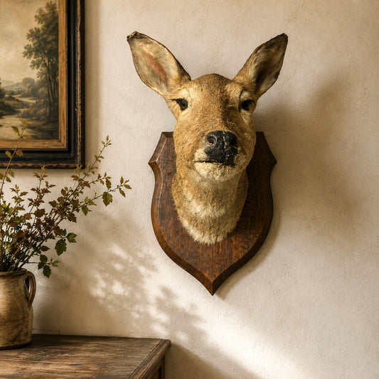 Trophied deer head mounted on a wall with a painting and plant in the background