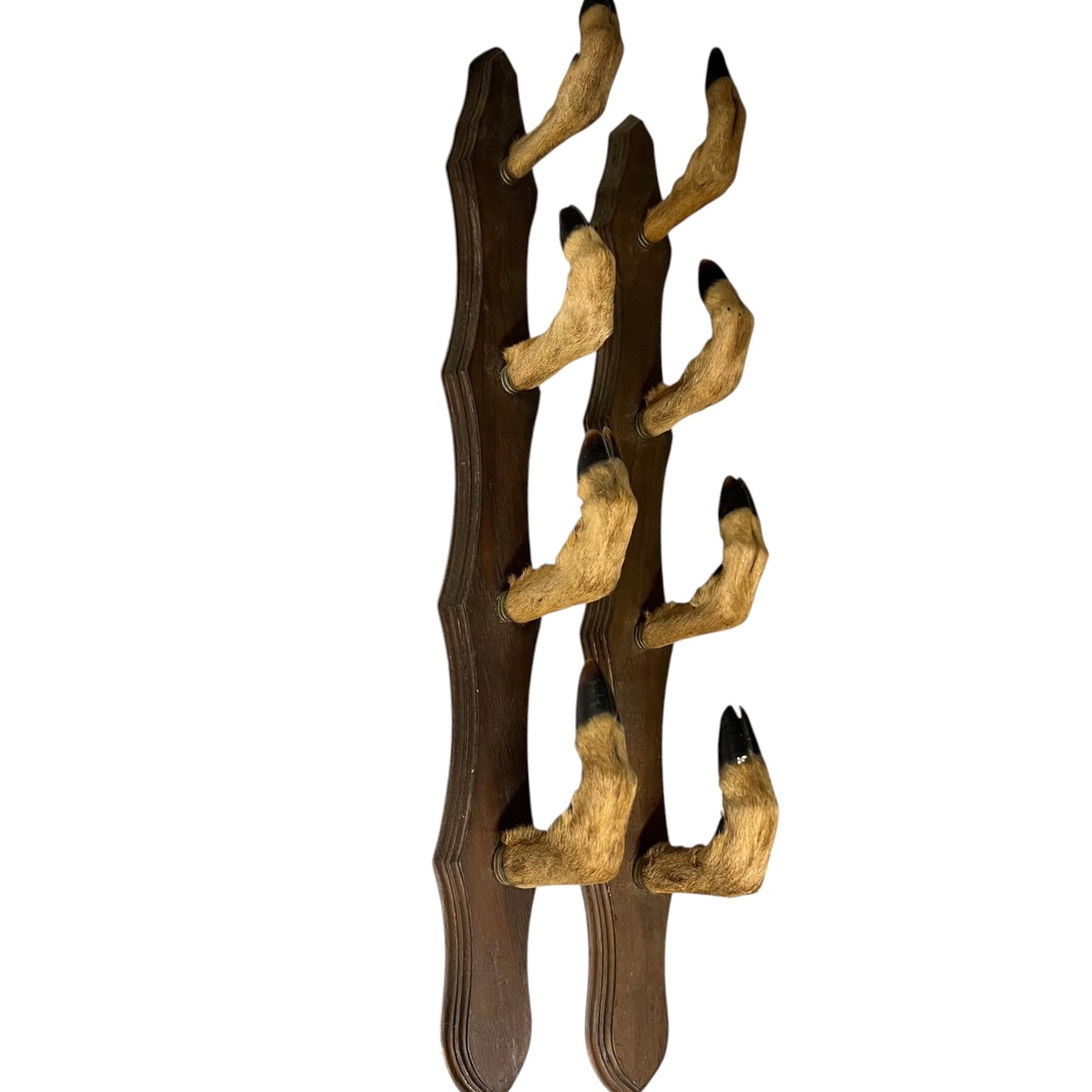 Decorative wall piece with 8 taxidermy deer hooves on a white background
